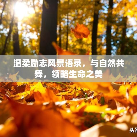 温柔励志风景语录，与自然共舞，领略生命之美