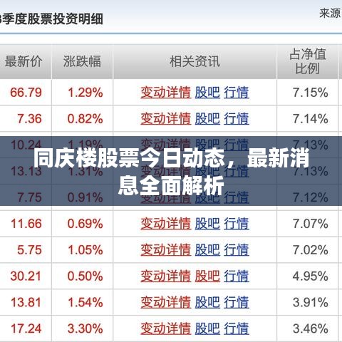 同庆楼股票今日动态，最新消息全面解析