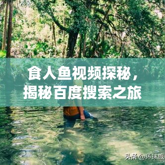 食人鱼视频探秘,揭秘百度搜索之旅
