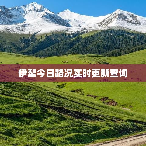 伊犁今日路况实时更新查询