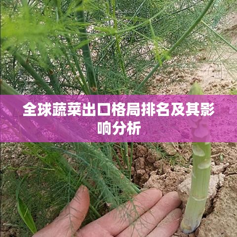 全球蔬菜出口格局排名及其影响分析