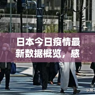 日本今日疫情最新数据概览,感染人数与防控动态更新