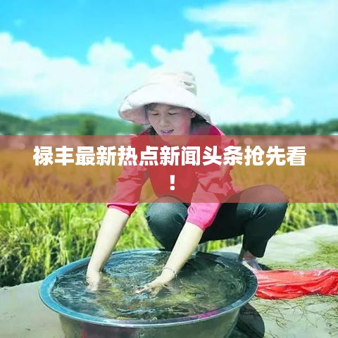 禄丰最新热点新闻头条抢先看!