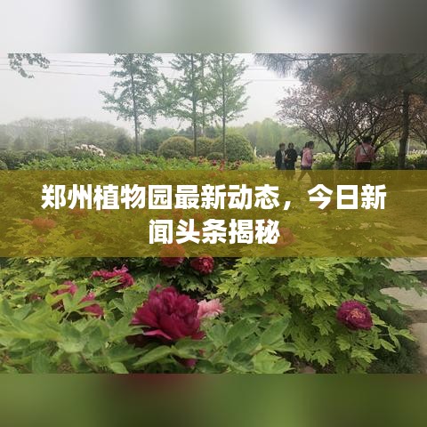 郑州植物园最新动态,今日新闻头条揭秘