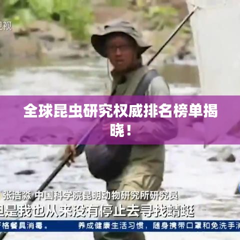 全球昆虫研究权威排名榜单揭晓!