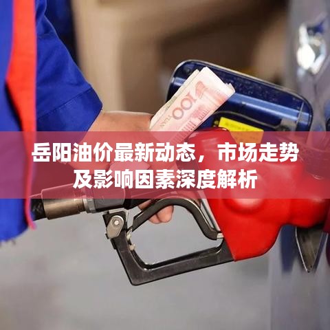 岳阳油价最新动态，市场走势及影响因素深度解析