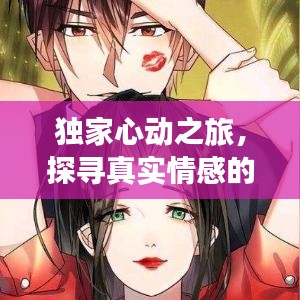 纲挈目张 第5页