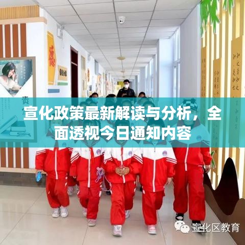 宣化政策最新解读与分析，全面透视今日通知内容