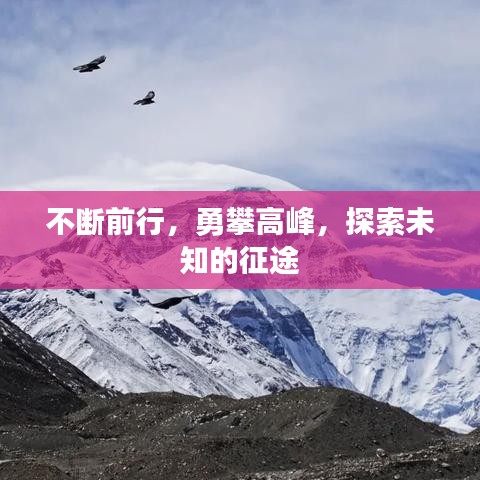 不断前行，勇攀高峰，探索未知的征途