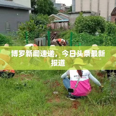 博罗新闻速递,今日头条最新报道