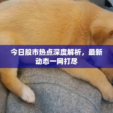 今日股市热点深度解析，最新动态一网打尽