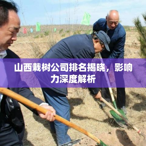 山西栽树公司排名揭晓，影响力深度解析