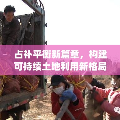 占补平衡新篇章，构建可持续土地利用新格局，助力生态文明建设