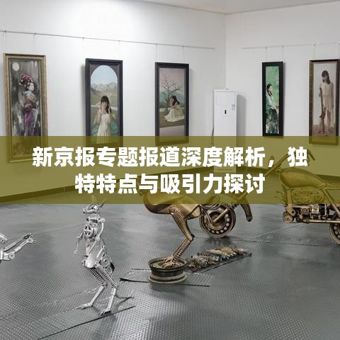 新京报专题报道深度解析,独特特点与吸引力探讨