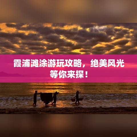 霞浦滩涂游玩攻略，绝美风光等你来探！