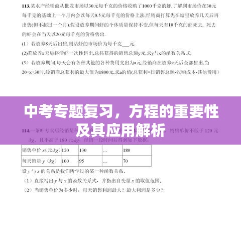 中考专题复习，方程的重要性及其应用解析