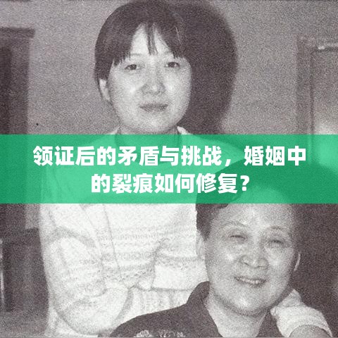 领证后的矛盾与挑战，婚姻中的裂痕如何修复？
