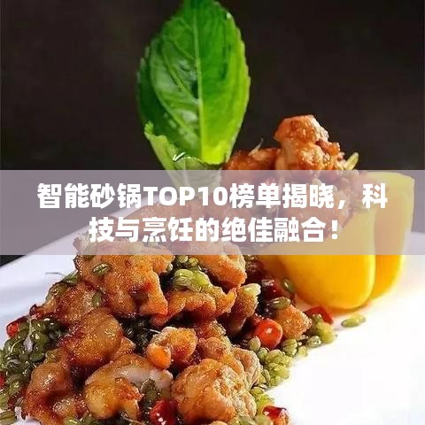 智能砂锅TOP10榜单揭晓,科技与烹饪的绝佳融合!