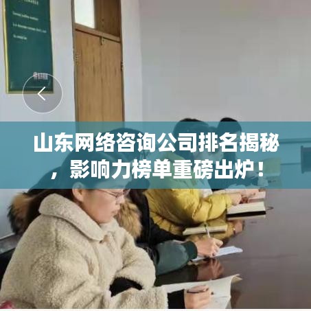 山东网络咨询公司排名揭秘，影响力榜单重磅出炉！
