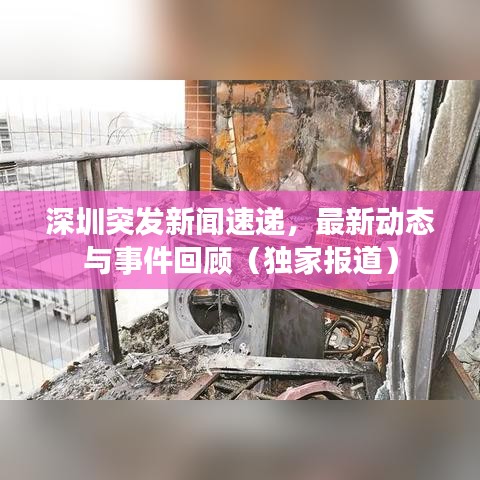 深圳突发新闻速递，最新动态与事件回顾（独家报道）