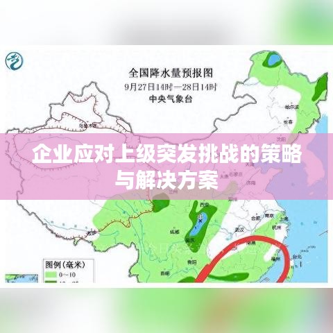 企业应对上级突发挑战的策略与解决方案