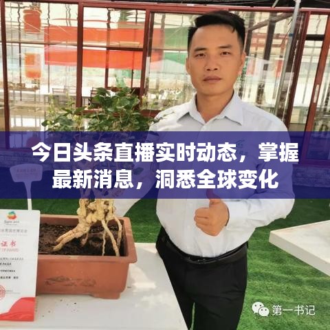 今日头条直播实时动态，掌握最新消息，洞悉全球变化