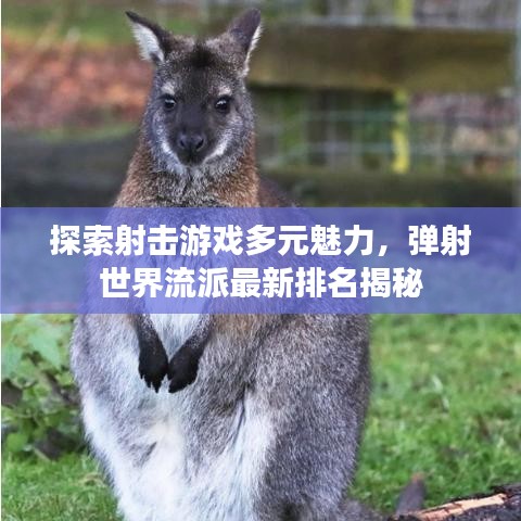 探索射击游戏多元魅力，弹射世界流派最新排名揭秘