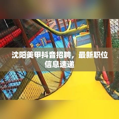 沈阳美甲抖音招聘，最新职位信息速递