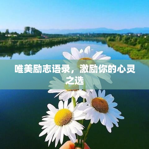 唯美励志语录，激励你的心灵之选