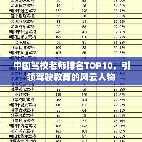 中国驾校老师排名TOP10,引领驾驶教育的风云人物