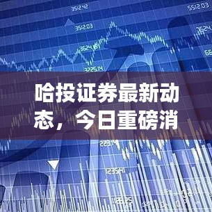 哈投证券最新动态，今日重磅消息一网打尽