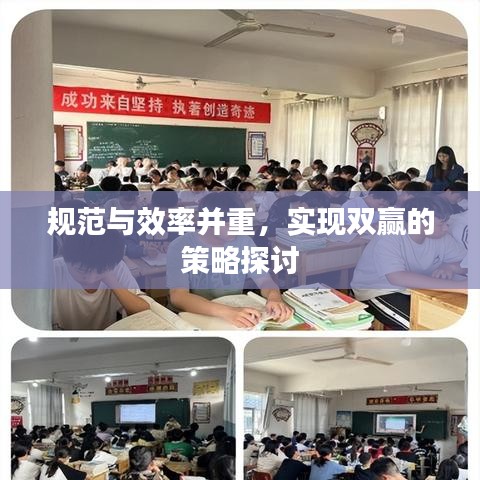 规范与效率并重，实现双赢的策略探讨