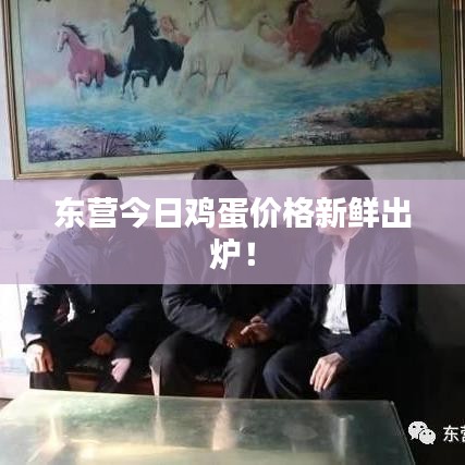 东营今日鸡蛋价格新鲜出炉！