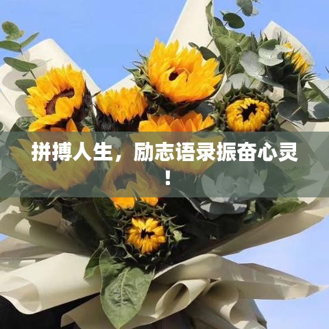 拼搏人生,励志语录振奋心灵!