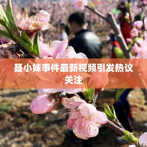 酷狗音乐8.70版本,实地数据评估执行&amp;专家版_v8.623