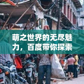 萌之世界的无尽魅力,百度带你探索萌文化