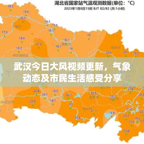 武汉今日大风视频更新，气象动态及市民生活感受分享