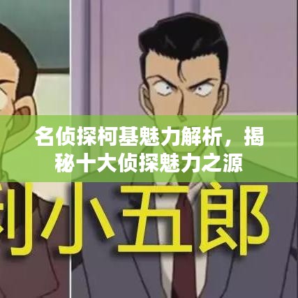 名侦探柯基魅力解析，揭秘十大侦探魅力之源