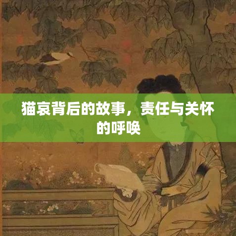 猫哀背后的故事,责任与关怀的呼唤