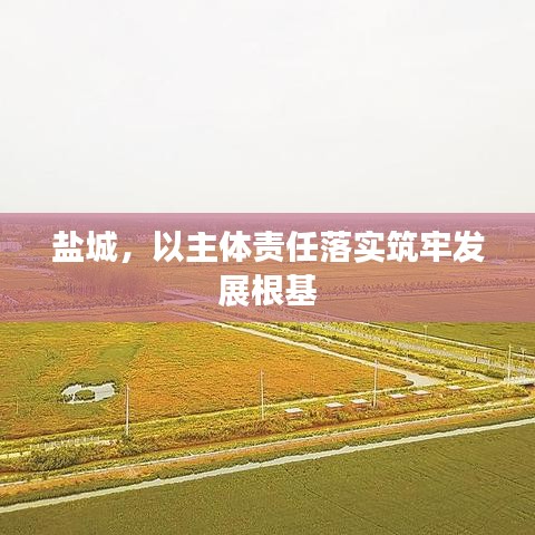 盐城，以主体责任落实筑牢发展根基