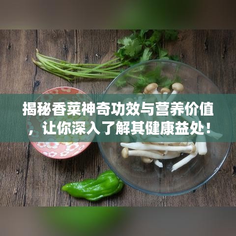 揭秘香菜神奇功效与营养价值，让你深入了解其健康益处！