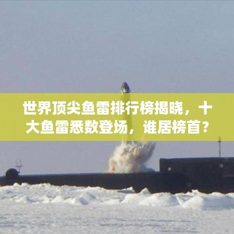 求七杀单机版或西瓜2015官方下载，深度应用数据策略vShop_v6.472——免费且强大的软件体验