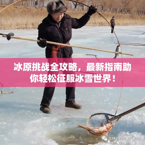 冰原挑战全攻略,最新指南助你轻松征服冰雪世界!