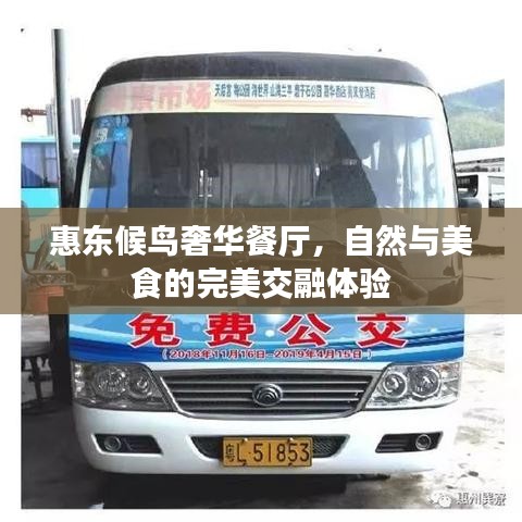 惠东候鸟奢华餐厅，自然与美食的完美交融体验