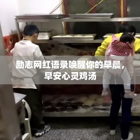 励志网红语录唤醒你的早晨，早安心灵鸡汤