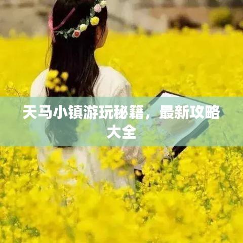 天马小镇游玩秘籍，最新攻略大全