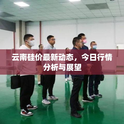 云南硅价最新动态，今日行情分析与展望