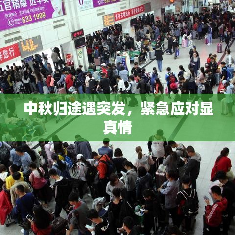 中秋归途遇突发，紧急应对显真情