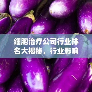 细胞治疗公司行业排名大揭秘，行业影响力与竞争力解析