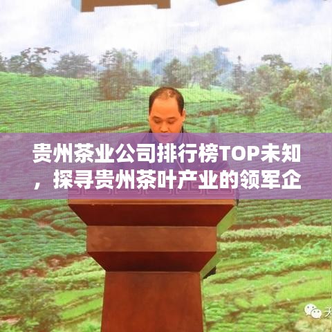 贵州茶业公司排行榜TOP未知，探寻贵州茶叶产业的领军企业